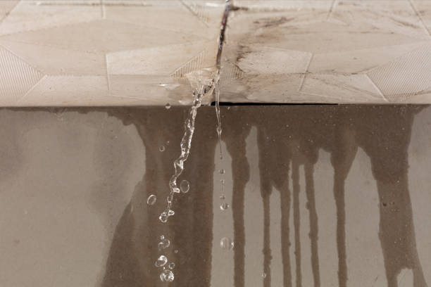 Professional Burst Pipe Cleanup technician working in Alhambra, IL